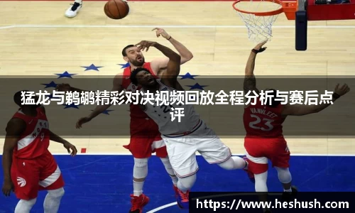 猛龙与鹈鹕精彩对决视频回放全程分析与赛后点评